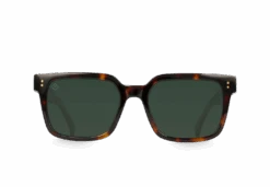 WEST-Kola Tortoise / Green Polarized-55