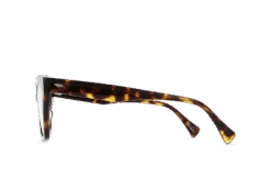 POZY-Timber Tortoise / Clear-52 -Raen Eyeglasses Shop 200F223POZ E936 52 A2