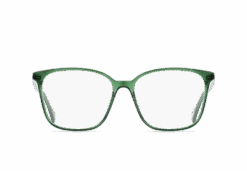 NEESE-Oak / Clear-56