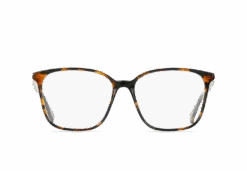 NEESE-Nero Tortoise / Clear-56