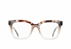 HANNY-Horizon Tahoe Tortoise / Clear-53