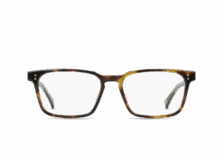 NOLAN-Kola Tortoise / Clear-55