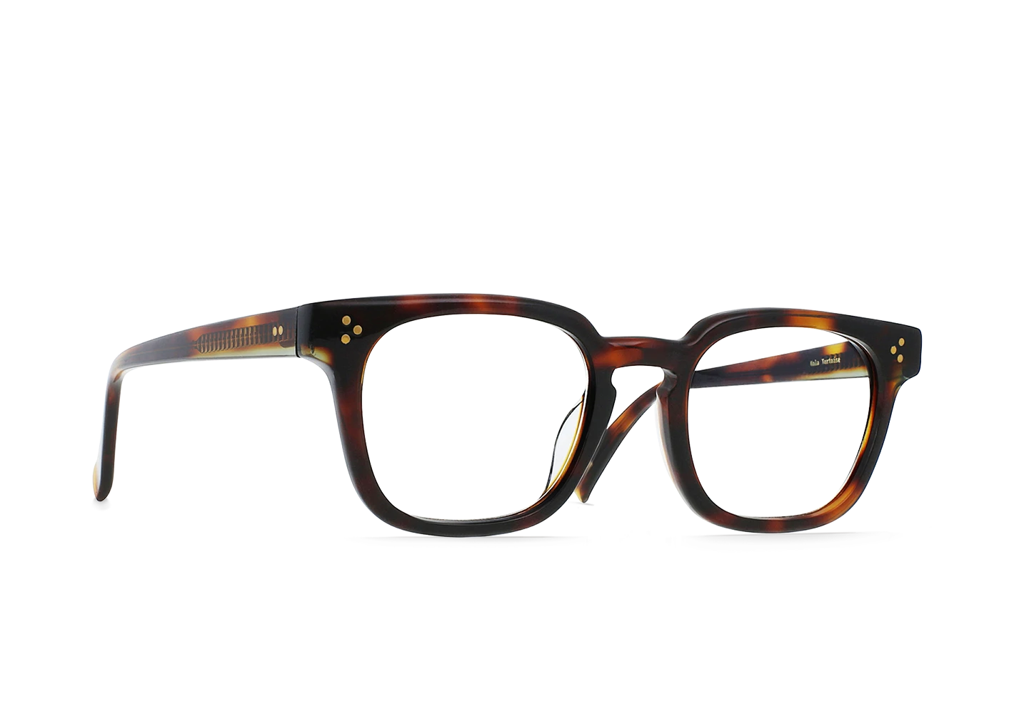 CY-Kola Tortoise + Juniper / Clear-49 3 CY-Kola Tortoise + Juniper / Clear-49 - Image 3