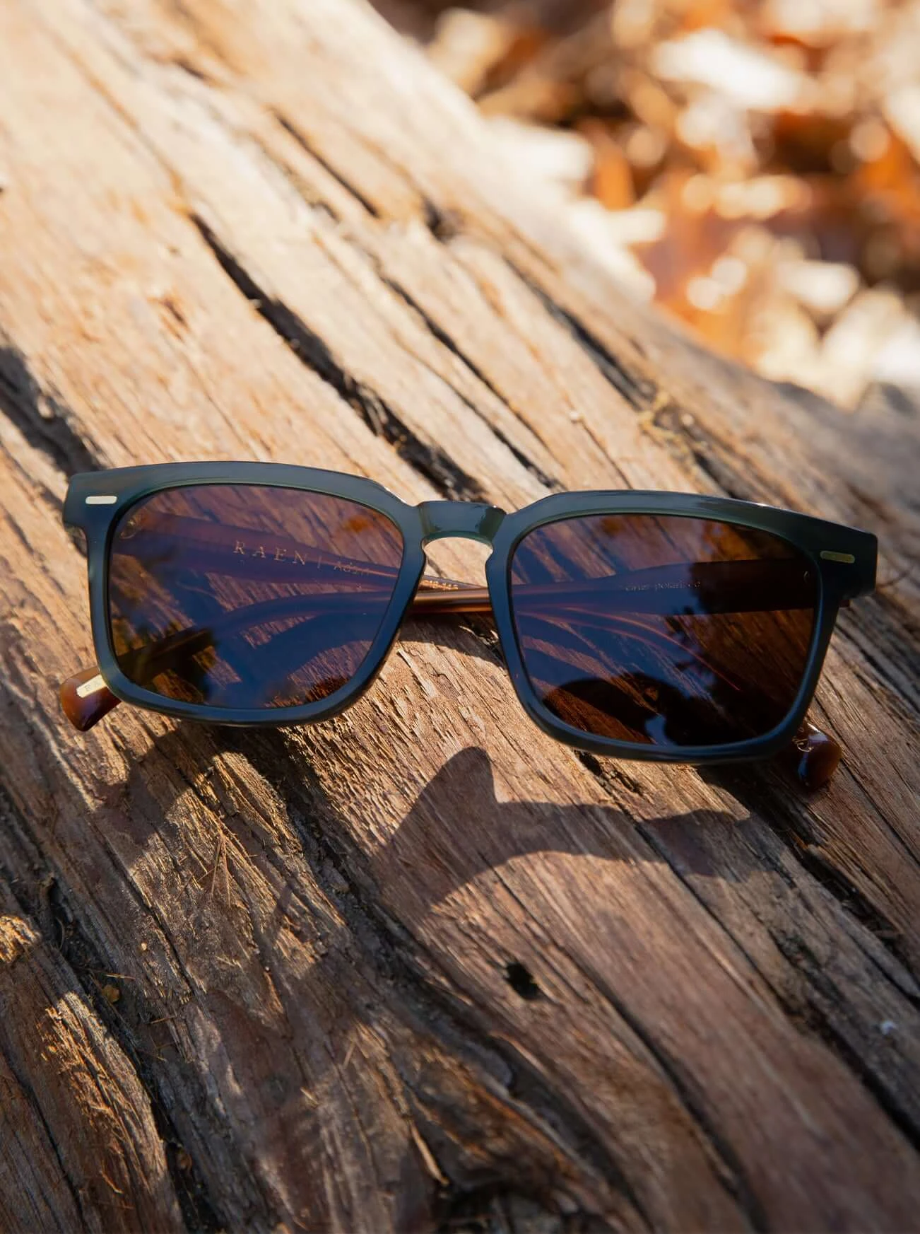 ADIN-Cirus / Vibrant Brown Polarized-54 8 ADIN-Cirus / Vibrant Brown Polarized-54 - Image 8