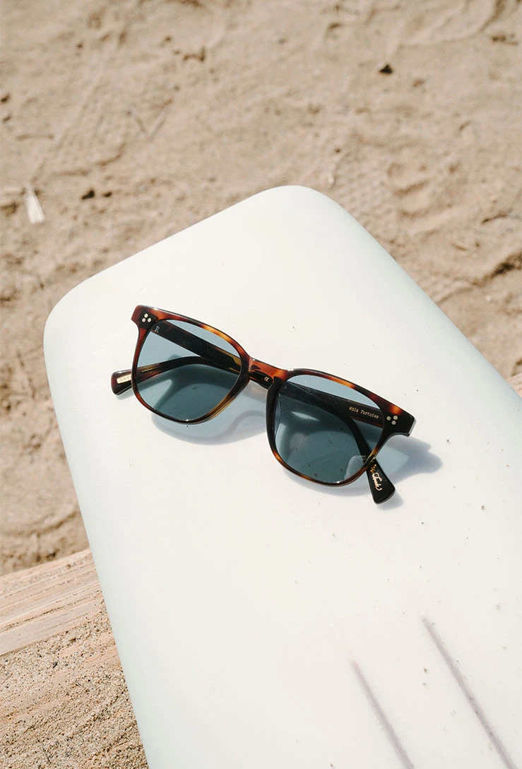 ALVEZ-Kola Tortoise / Pacifica-50 5 ALVEZ-Kola Tortoise / Pacifica-50 - Image 5