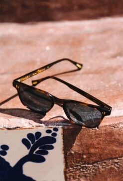 ALVEZ-Kola Tortoise / Pacifica-50 14 ALVEZ-Kola Tortoise / Pacifica-50 -Raen Eyeglasses Shop Alvez SS24 Kola Tortoise Pacifica L4