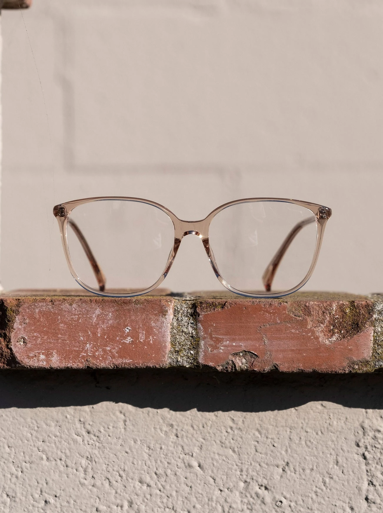 DAISEY-Dawn / Clear-57 5 DAISEY-Dawn / Clear-57 - Image 5