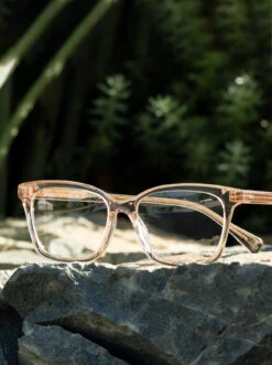 DEL-Oxblood / Clear-53 12 DEL-Oxblood / Clear-53 -Raen Eyeglasses Shop DEL FW21 Oxblood Clear L3