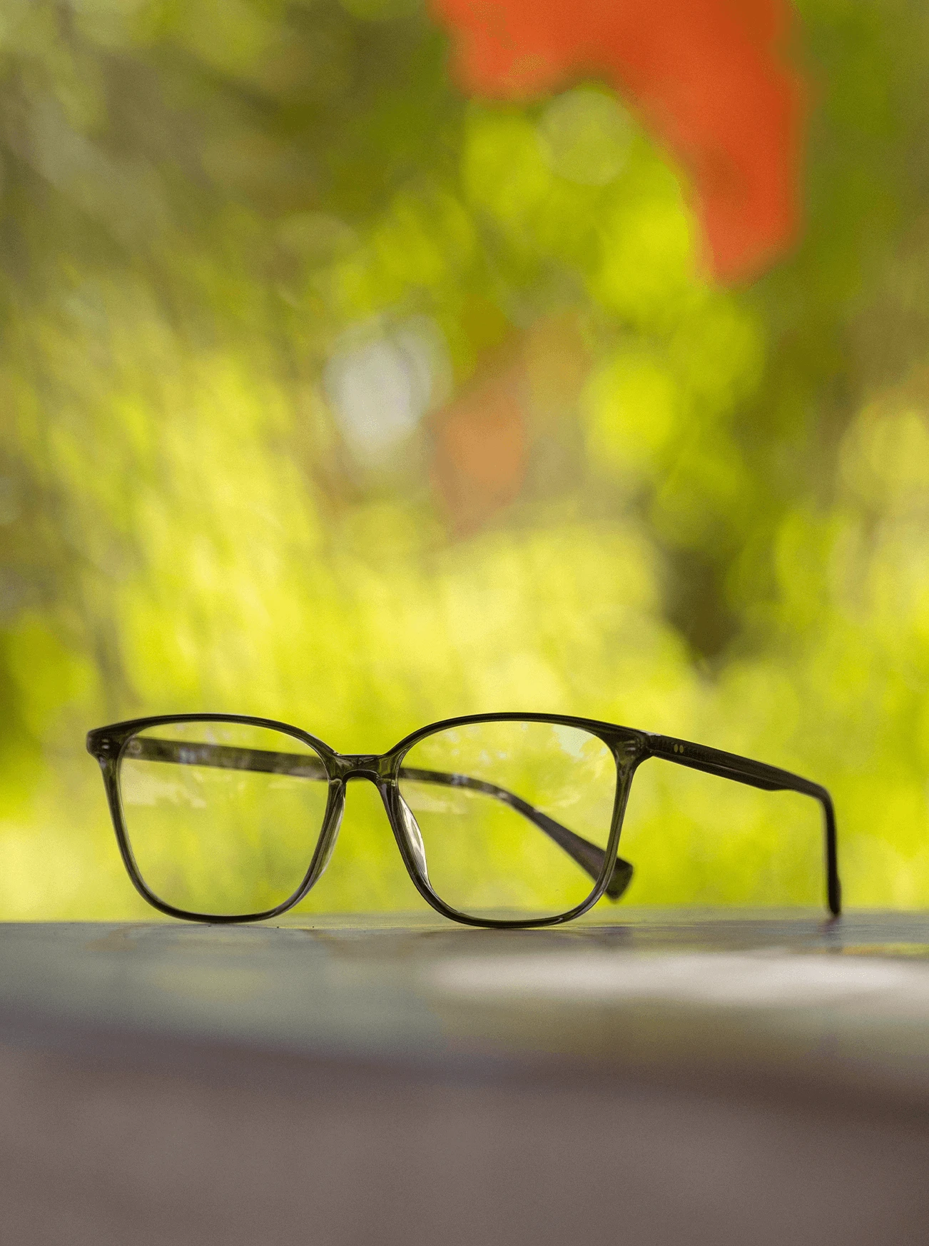 NEESE-Nero Tortoise / Clear-56 8 NEESE-Nero Tortoise / Clear-56 - Image 8