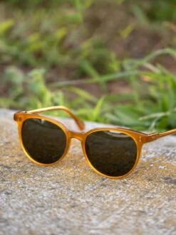 NORIE-Honey / Bottle Green-53 13 NORIE-Honey / Bottle Green-53 -Raen Eyeglasses Shop NORIE 2021 Honey Bottle Green L1