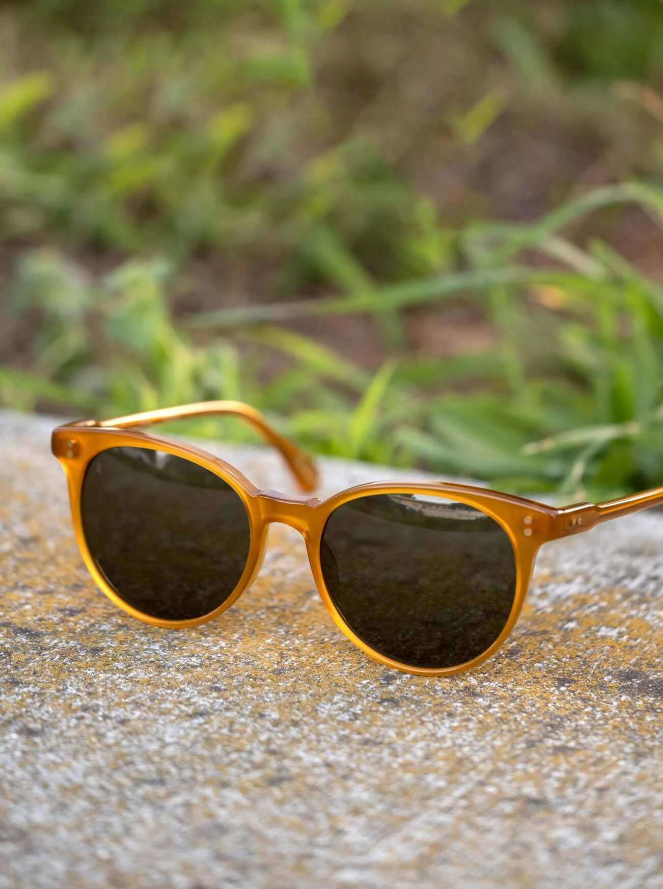 NORIE-Honey / Bottle Green-53 7 NORIE-Honey / Bottle Green-53 - Image 7