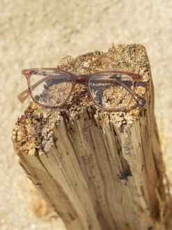 ROZIN-Crystal Black/Clear-50 12 ROZIN-Crystal Black/Clear-50 -Raen Eyeglasses Shop ROZIN FW23 Crystal Black Clear L3