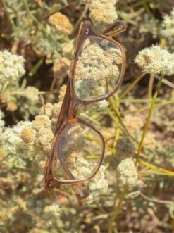 ROZIN-Kola Tortoise/Clear-50 13 ROZIN-Kola Tortoise/Clear-50 -Raen Eyeglasses Shop fw23 rozin product 2 be63f26b 67a8 4f72 bf15 ea585b018721